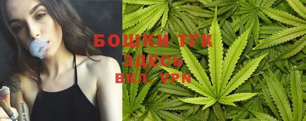 дживик Лагань