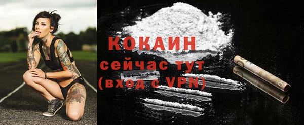 дживик Лагань